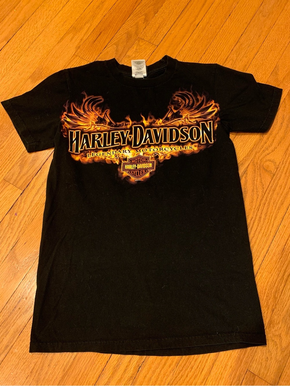 Vintage Y2K Harley-Davidson Champion Roswell NM Alien Motorcycle Flames Shirt